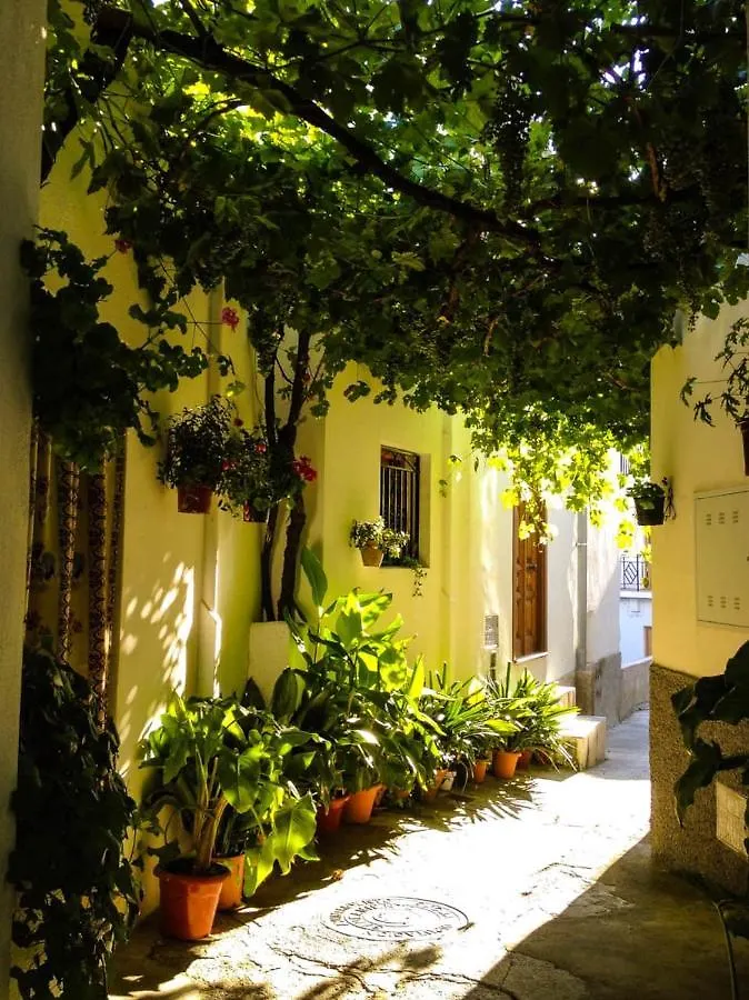 Apartment Casa Corasol, A Cozy, Comfy, 2Br House- Panoramic View And Rooftop Canar